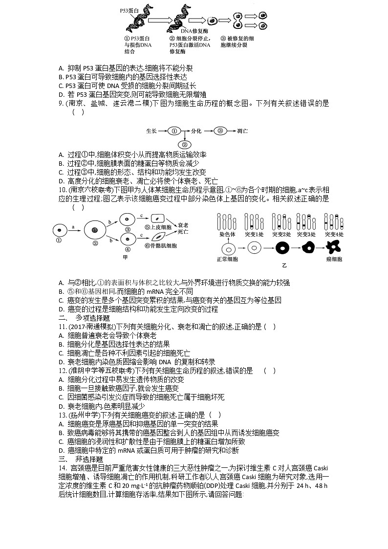 高考生物一轮复习作业本：第4单元第2讲《细胞的分化、衰老、凋亡和癌变》（含详解） 练习02