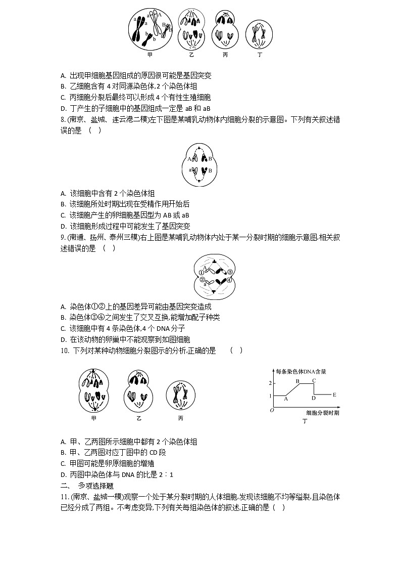 高考生物一轮复习作业本：第4单元第3讲《减数分裂和受精作用》（含详解）第2页