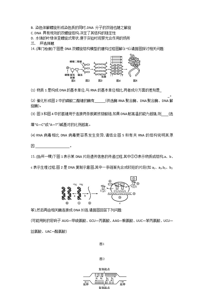 高考生物一轮复习作业本：第6单元第2讲《DNA的结构和复制》（含详解）第3页