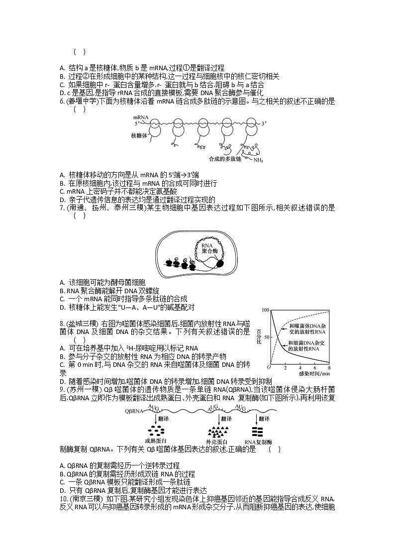 高考生物一轮复习作业本：第6单元第3讲《基因的表达》（含详解） 练习02