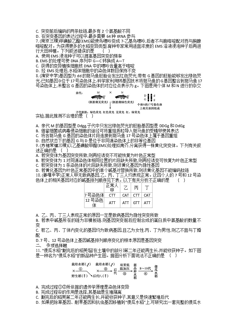 高考生物一轮复习作业本：第7单元第1讲《基因突变与基因重组》（含详解）第2页