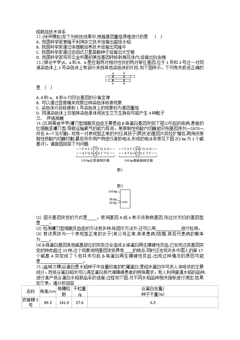 高考生物一轮复习作业本：第7单元第1讲《基因突变与基因重组》（含详解）第3页