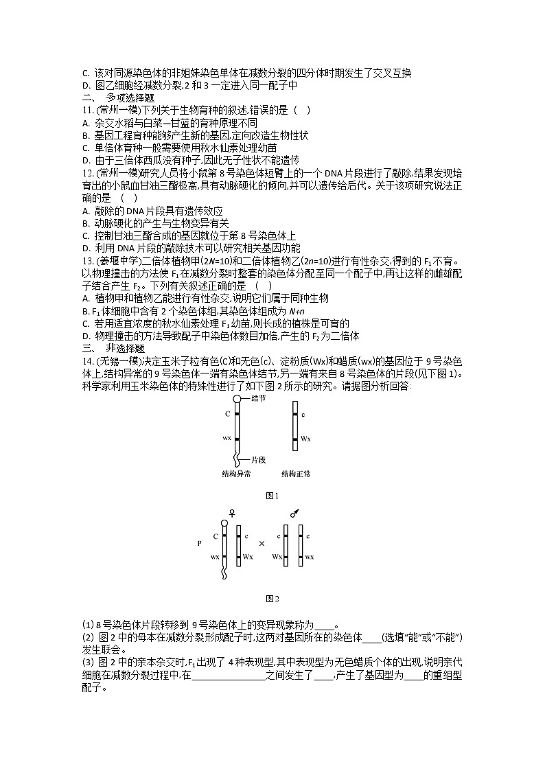 高考生物一轮复习作业本：第7单元第2讲《染色体变异》（含详解）第3页