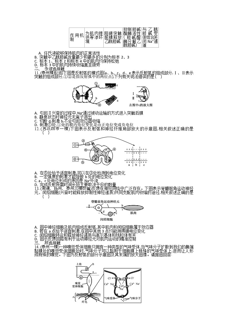 高考生物一轮复习作业本：第9单元第1讲《神经调节》（含详解） 练习03