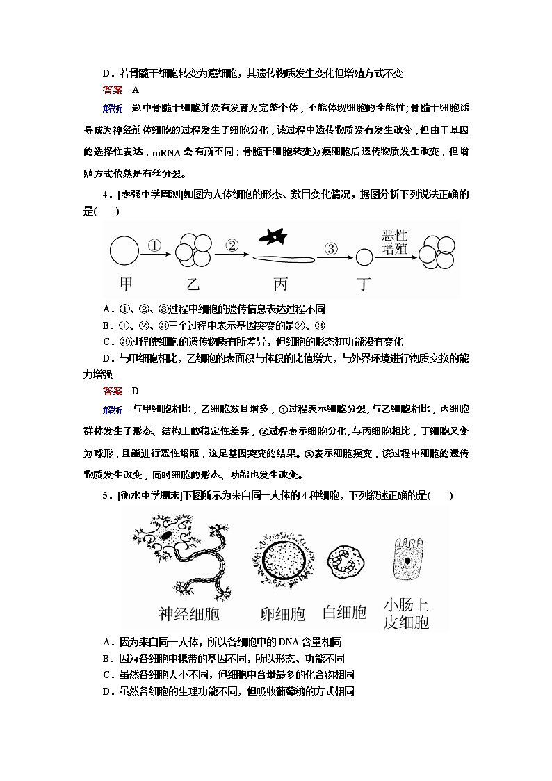 高考生物一轮复习专题训练：专题8《细胞的分化、衰老、凋亡和癌变》（含详解）第2页