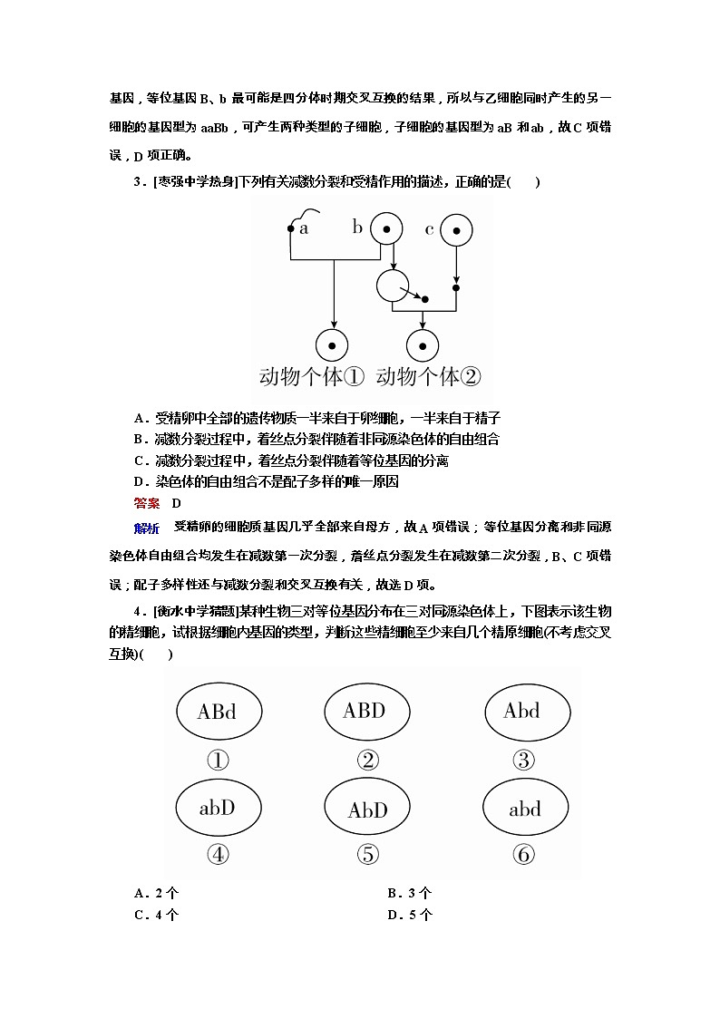 高考生物一轮复习专题训练：专题9《遗传的细胞基础》（含详解）第2页