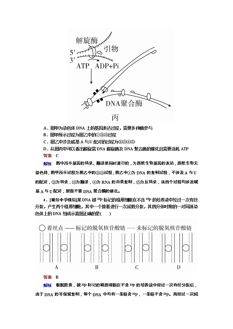 高考生物一轮复习专题训练：专题10《遗传的分子基础》（含详解）第2页