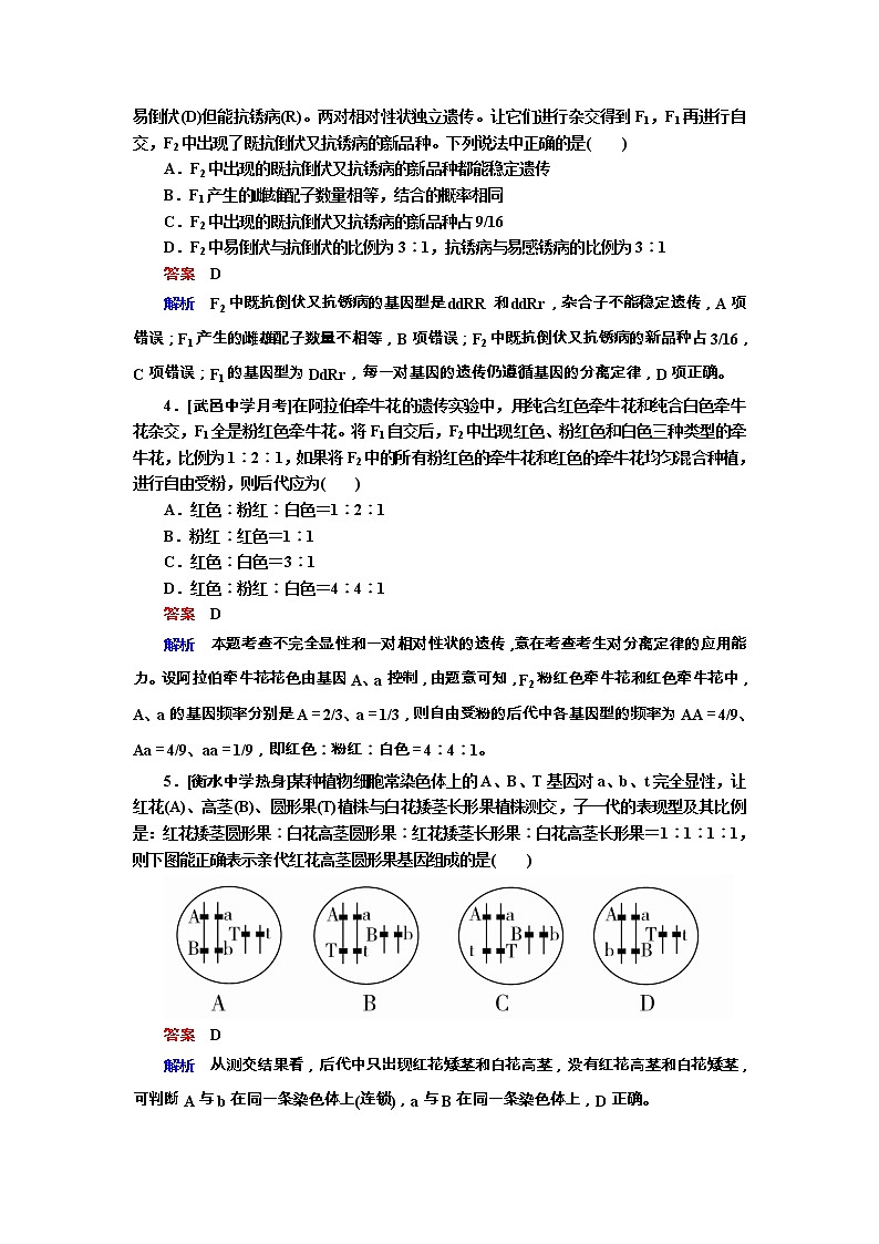 高考生物一轮复习专题训练：专题12《基因的自由组合定律》（含详解）第2页