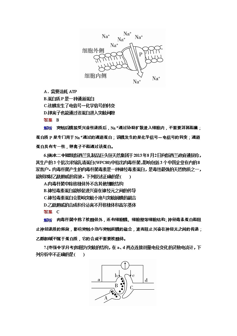 高考生物一轮复习专题训练：专题18《人和高等动物的神经调节》（含详解）第3页
