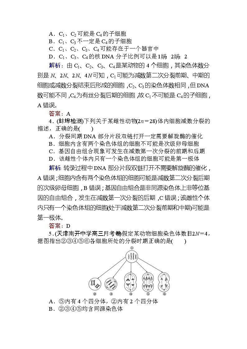 高考生物一轮复习课时跟踪检测：13《配子的形成过程、受精作用及相关实验探究》（含详解）第2页