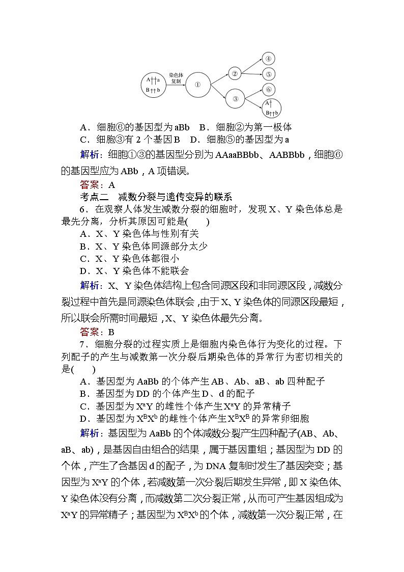 高考生物一轮复习课时跟踪检测：14《有丝分裂与减数分裂的综合》（含详解）03