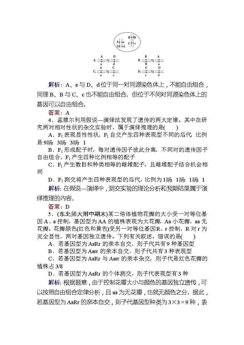 高考生物一轮复习课时跟踪检测：17《基因的自由组合定律》（含详解）第2页