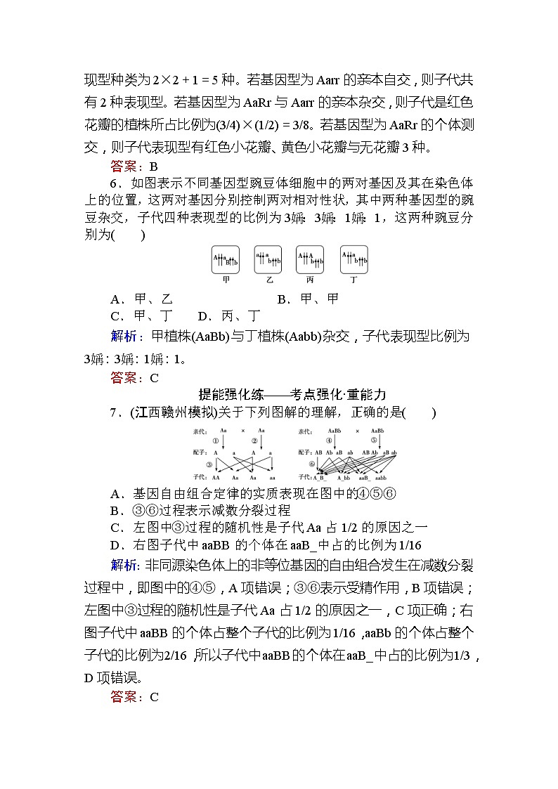 高考生物一轮复习课时跟踪检测：17《基因的自由组合定律》（含详解）第3页