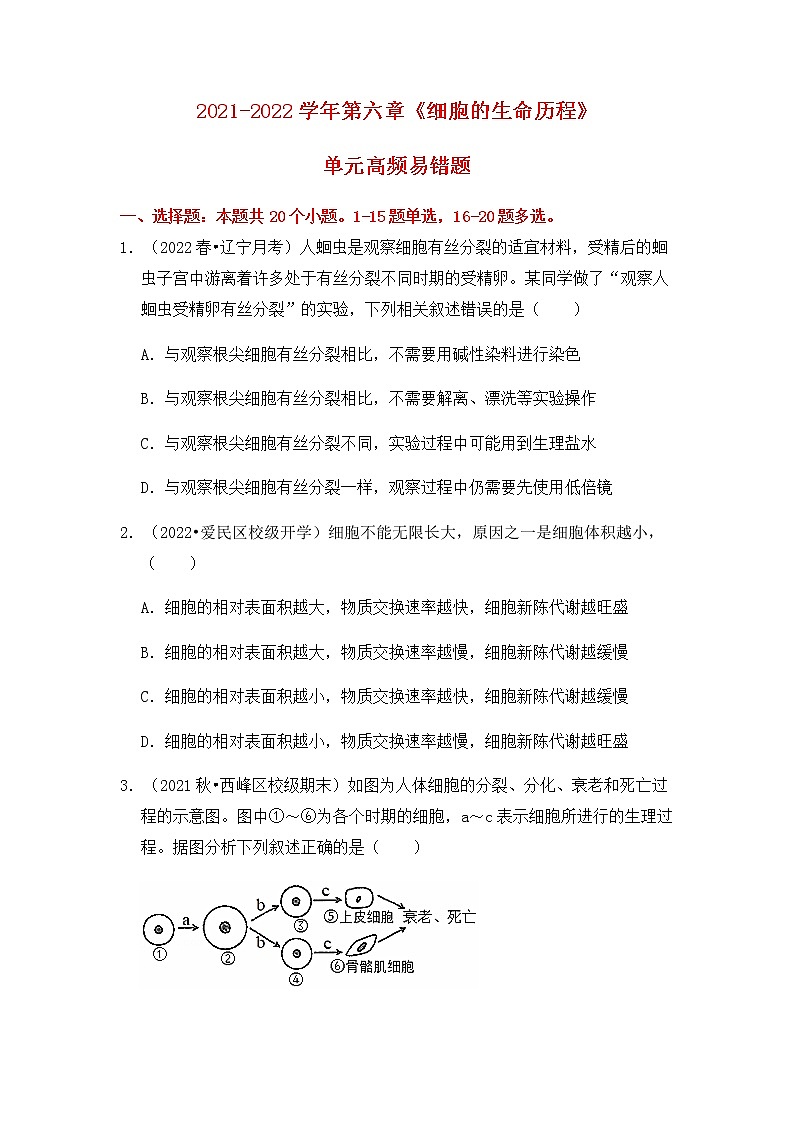 【高频单元易错题】人教版（2019）高一上生物必修1第六章：细胞的生命历程（含答案解析）01