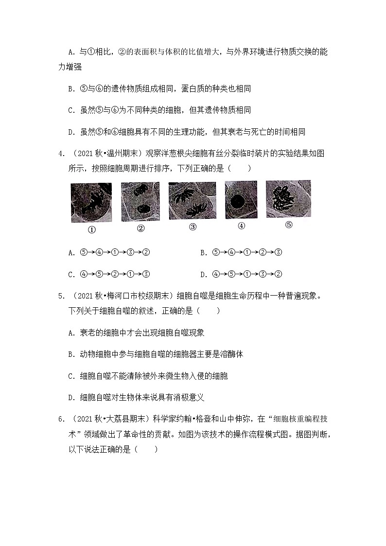 【高频单元易错题】人教版（2019）高一上生物必修1第六章：细胞的生命历程（含答案解析）02