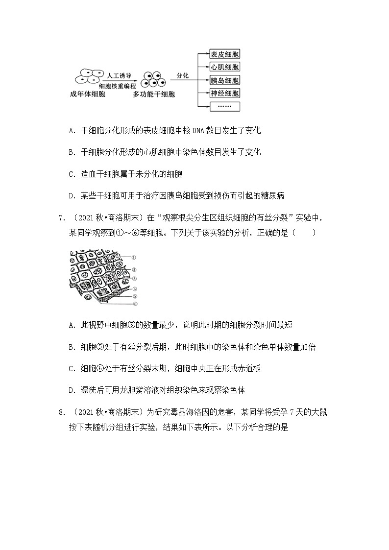【高频单元易错题】人教版（2019）高一上生物必修1第六章：细胞的生命历程（含答案解析）03