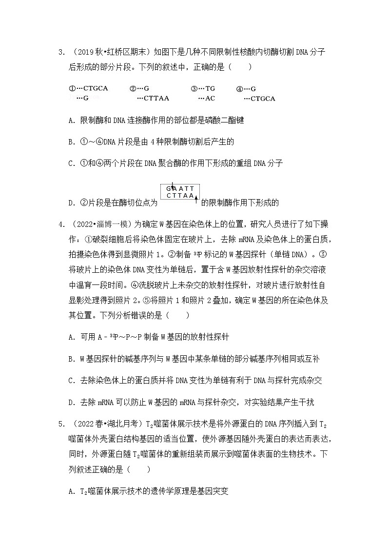 【高频单元易错题】人教版（2019）2021-2022学年高二下生物选择性必修3第三章：基因工程（含答案解析）02