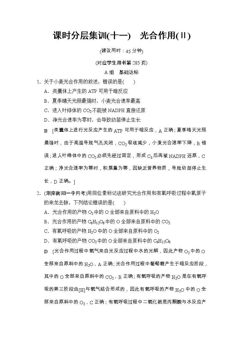 高考生物一轮复习课时分层集训11《光合作用(Ⅱ)》 (含详解)第1页