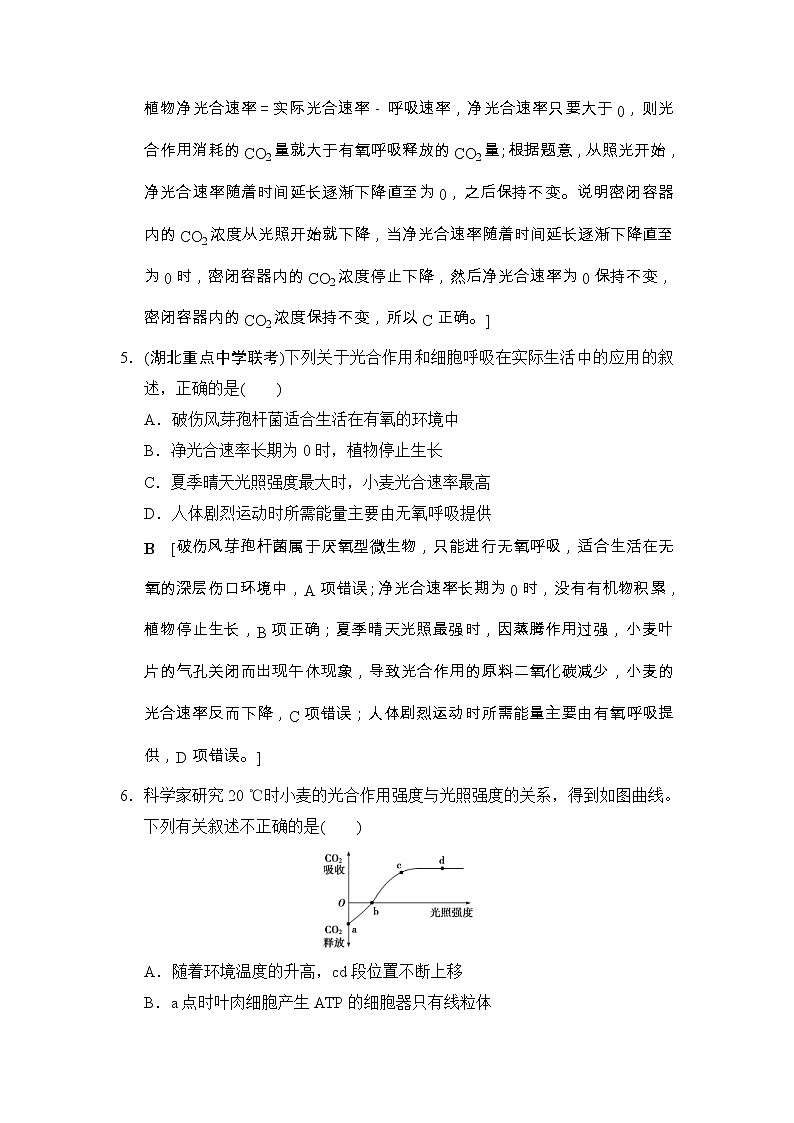 高考生物一轮复习课时分层集训11《光合作用(Ⅱ)》 (含详解)第3页