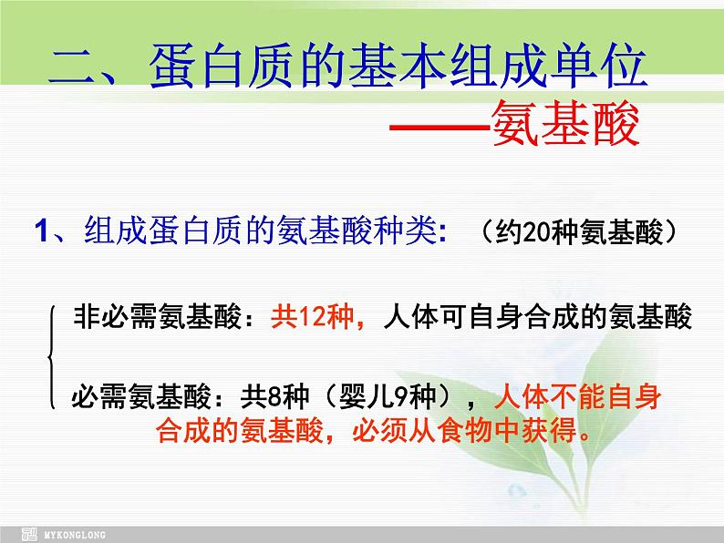 必修1 第2章 第2节生命活动的主要承担者—蛋白质修改课件PPT第4页