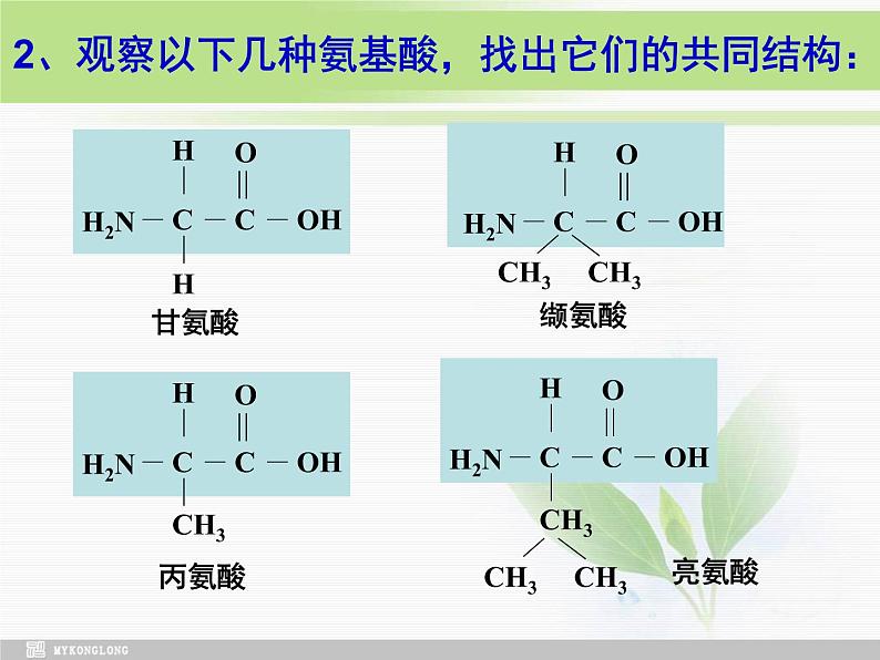 必修1 第2章 第2节生命活动的主要承担者—蛋白质修改课件PPT第5页