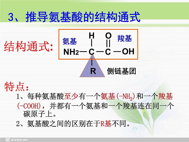 必修1 第2章 第2节生命活动的主要承担者—蛋白质修改课件PPT第6页