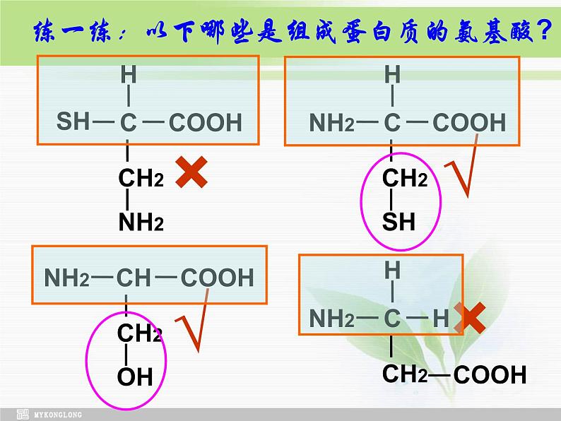 必修1 第2章 第2节生命活动的主要承担者—蛋白质修改课件PPT第7页