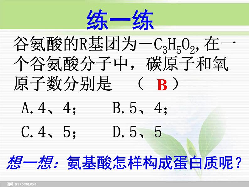 必修1 第2章 第2节生命活动的主要承担者—蛋白质修改课件PPT第8页