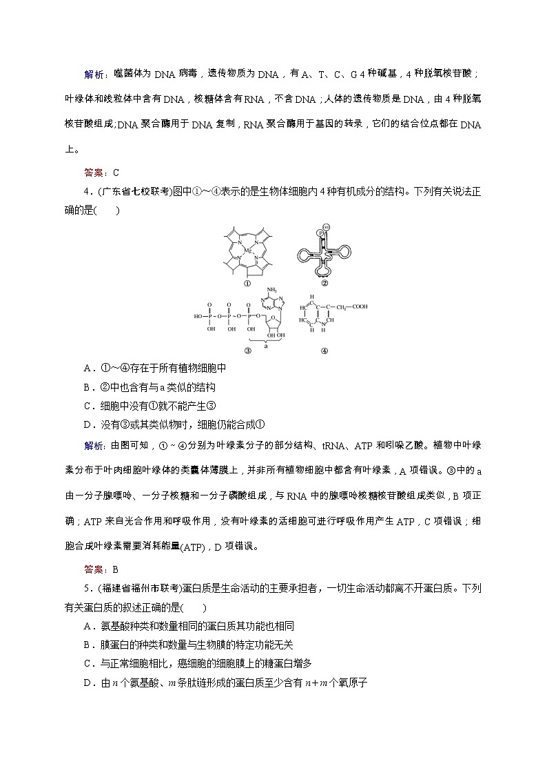 高考生物二轮专题强化训练01《细胞的物质基础》（含详解）第2页