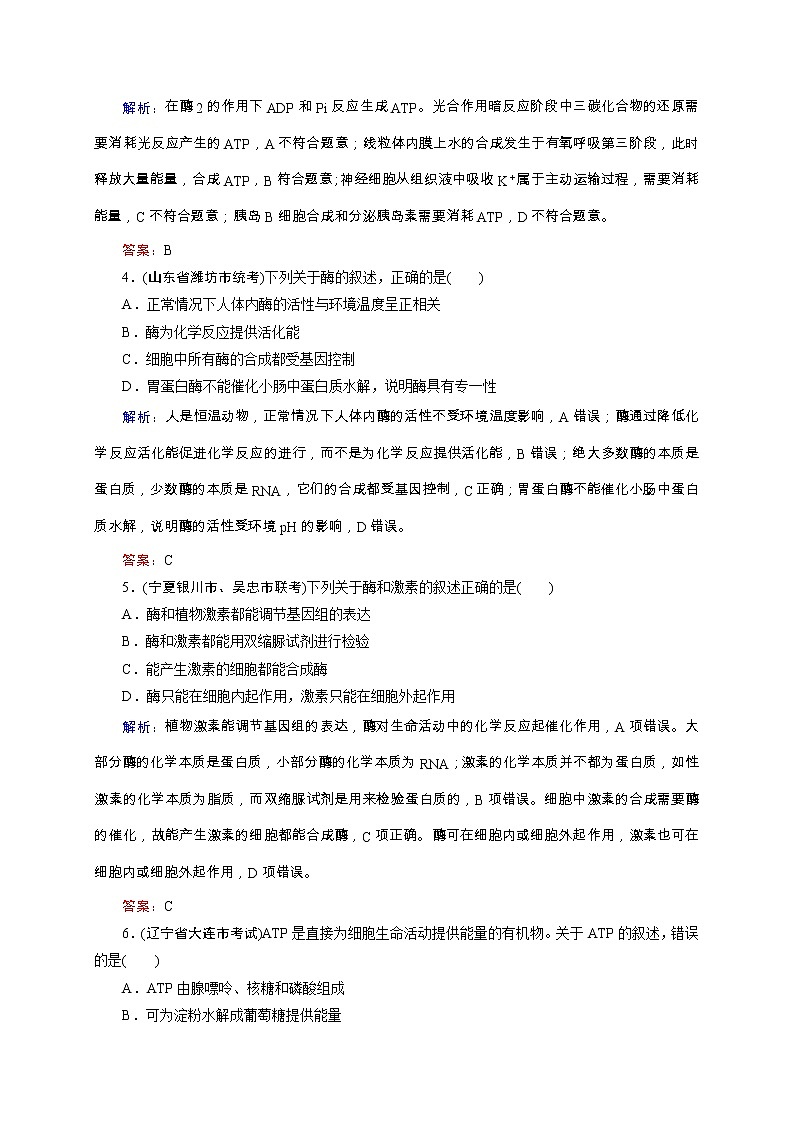 高考生物二轮专题强化训练03《酶与ATP》（含详解）02