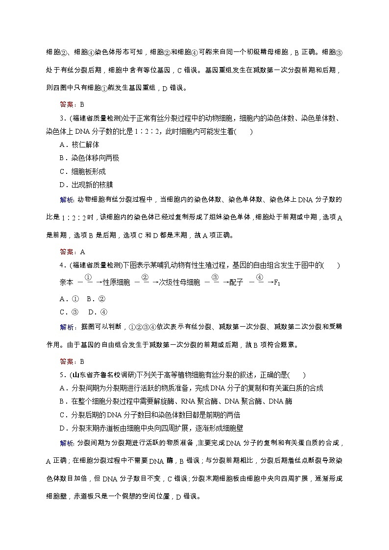 高考生物二轮专题强化训练05《细胞的增殖和受精作用》（含详解）第2页