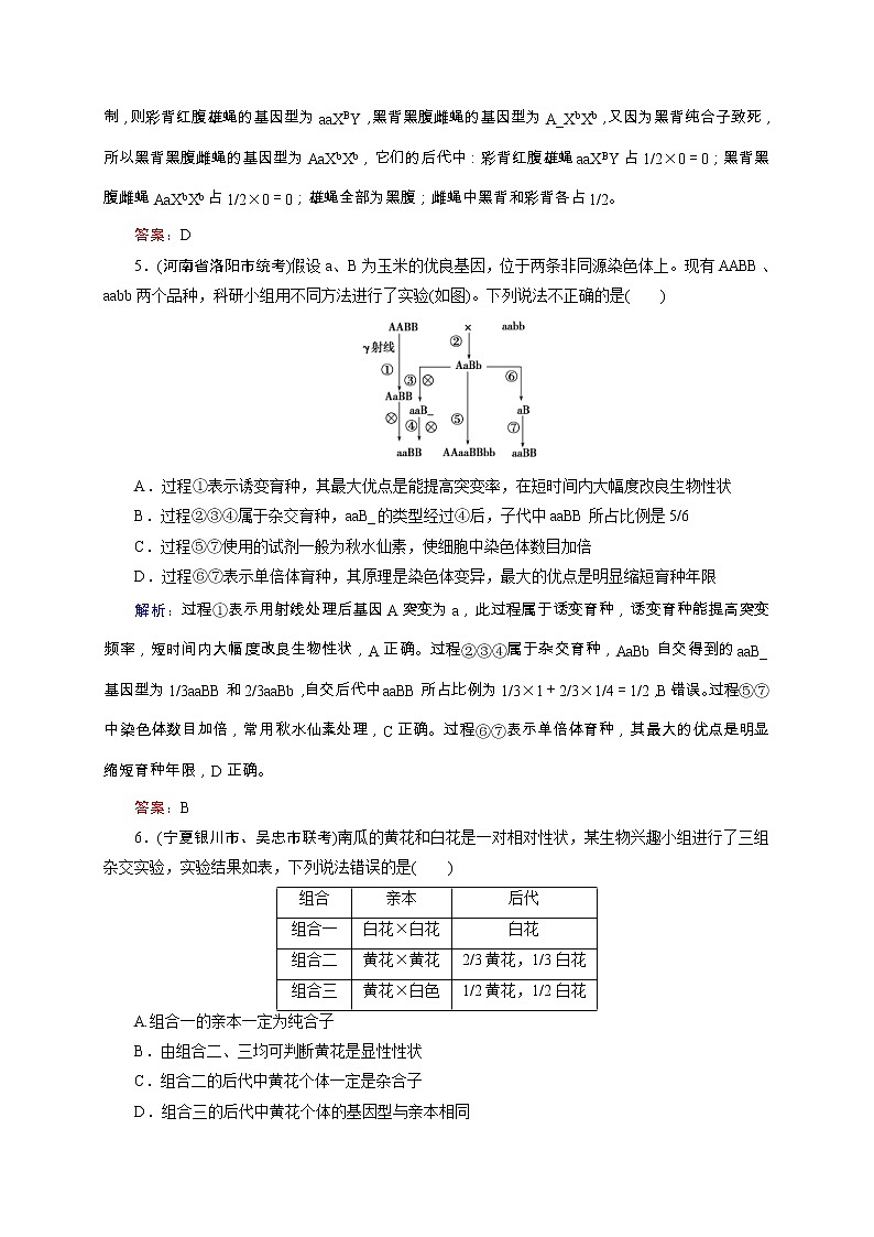 高考生物二轮专题强化训练08《遗传的基本规律和伴性遗传》（含详解）03