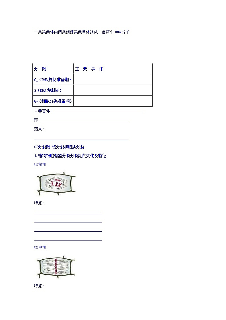 高考生物二轮专题复习学案：1细胞的增殖第2页