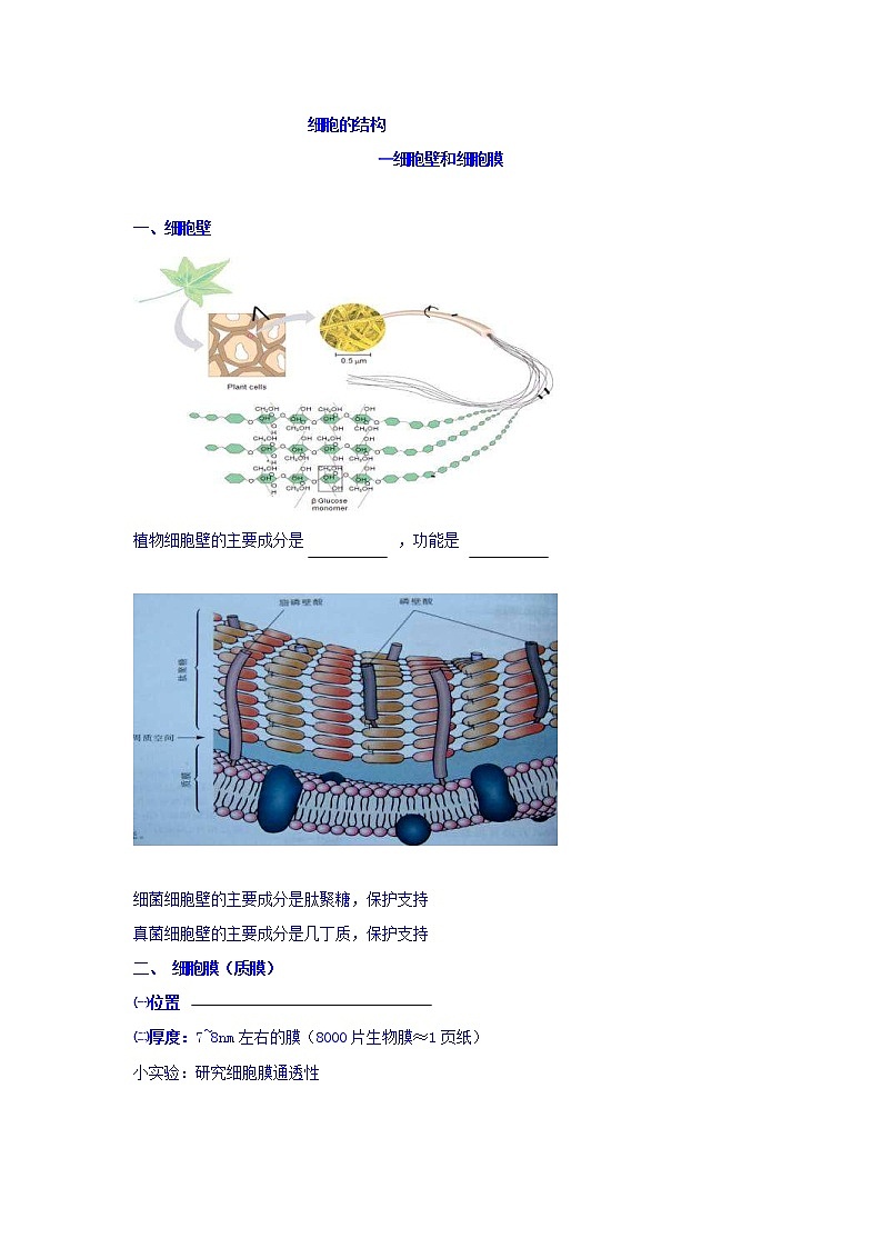 高考生物二轮专题复习学案：4细胞的结构（细胞壁和细胞膜）第1页