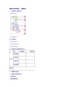 高考生物二轮专题复习学案：4细胞呼吸（二）无氧呼吸及细胞呼吸应用