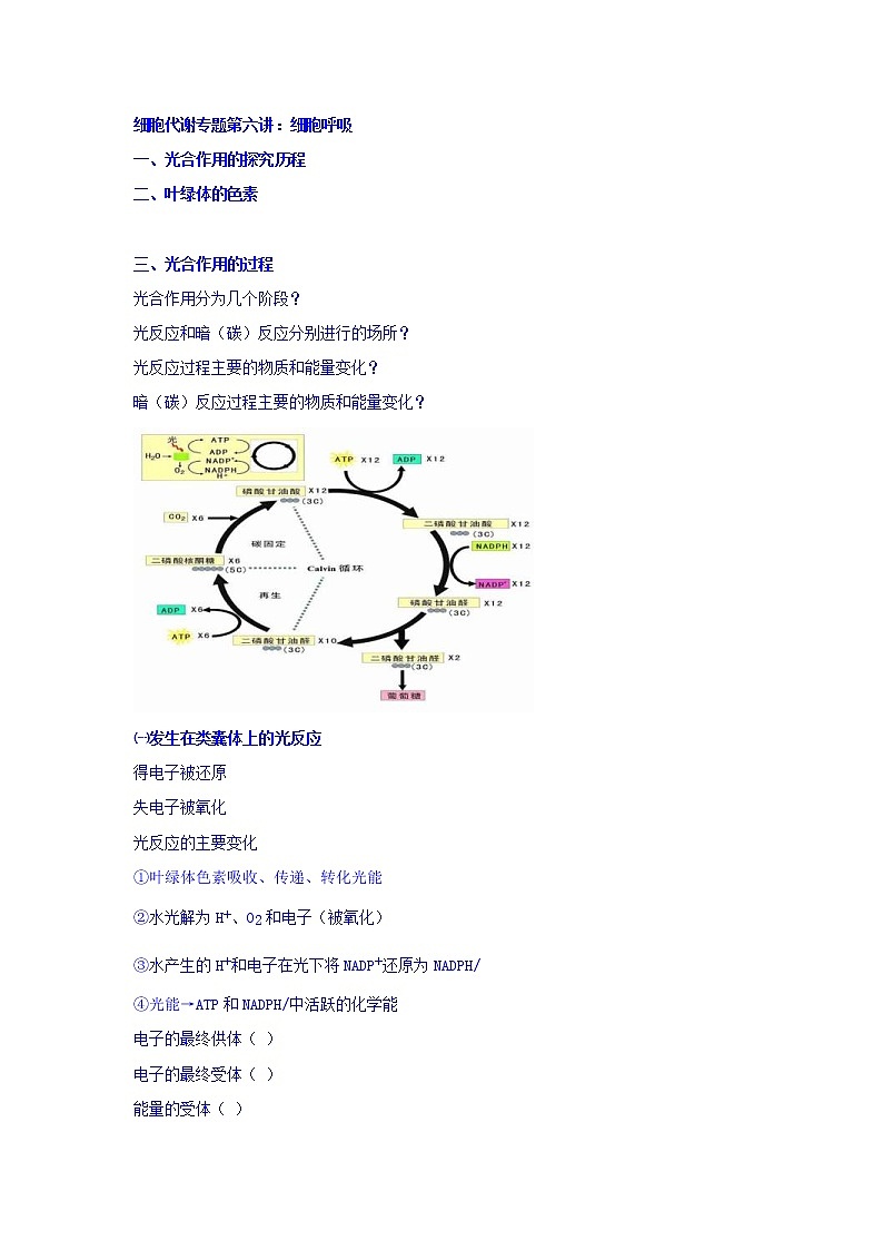 高考生物二轮专题复习学案：6光合作用（二）光合作用原理及应用01