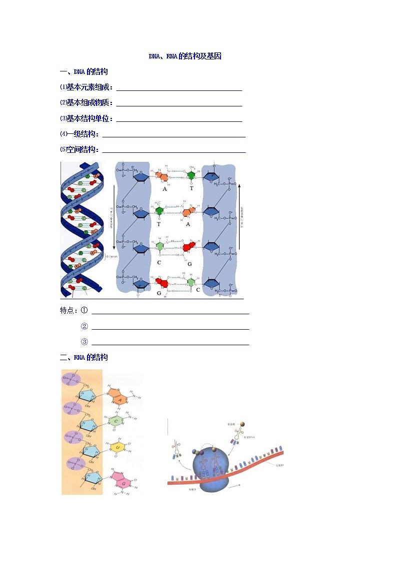 高考生物二轮专题复习学案：2DNA、RNA的结构和基因第1页
