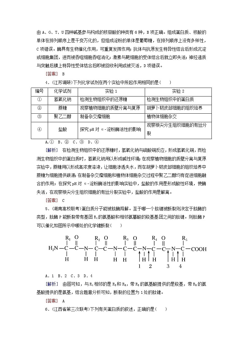 高考生物二轮复习跟踪强化训练01《细胞的分子组成》(含详解)第2页