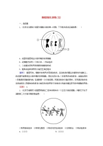 高考生物二轮复习跟踪强化训练05《细胞的增殖与遗传的细胞基础》(含详解)