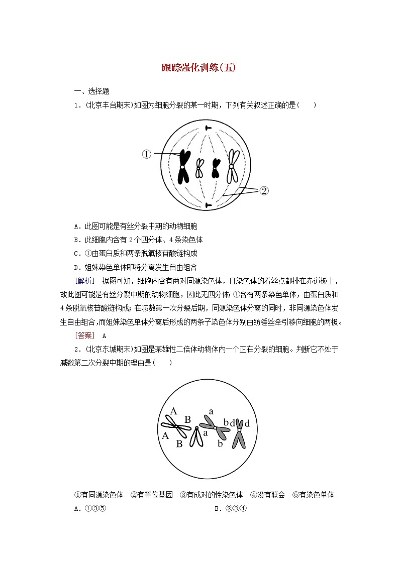 高考生物二轮复习跟踪强化训练05《细胞的增殖与遗传的细胞基础》(含详解)第1页
