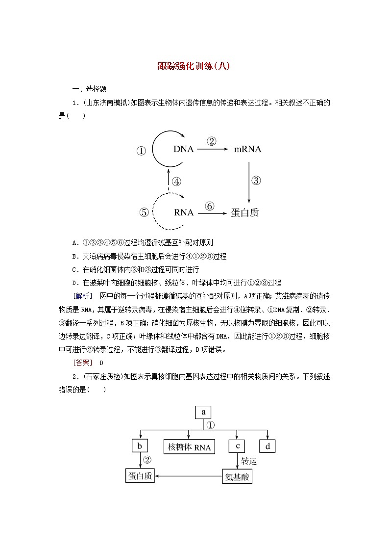 高考生物二轮复习跟踪强化训练08《基因的表达》(含详解)第1页