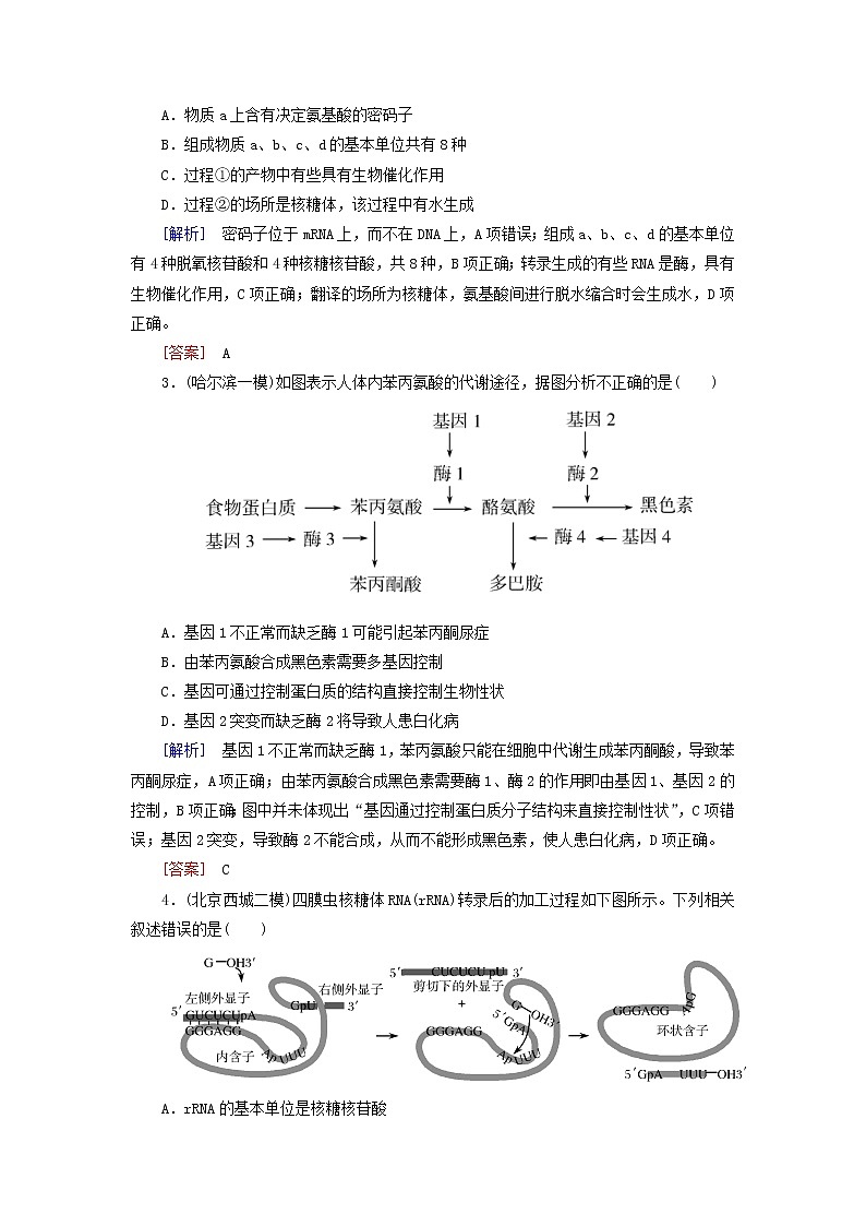 高考生物二轮复习跟踪强化训练08《基因的表达》(含详解)第2页