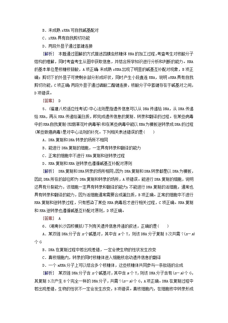 高考生物二轮复习跟踪强化训练08《基因的表达》(含详解)第3页