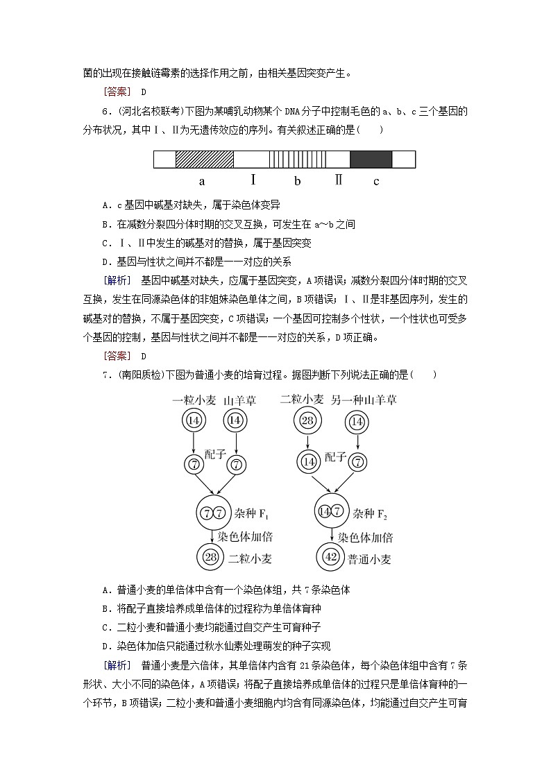 高考生物二轮复习跟踪强化训练11《生物的变异》(含详解)第3页