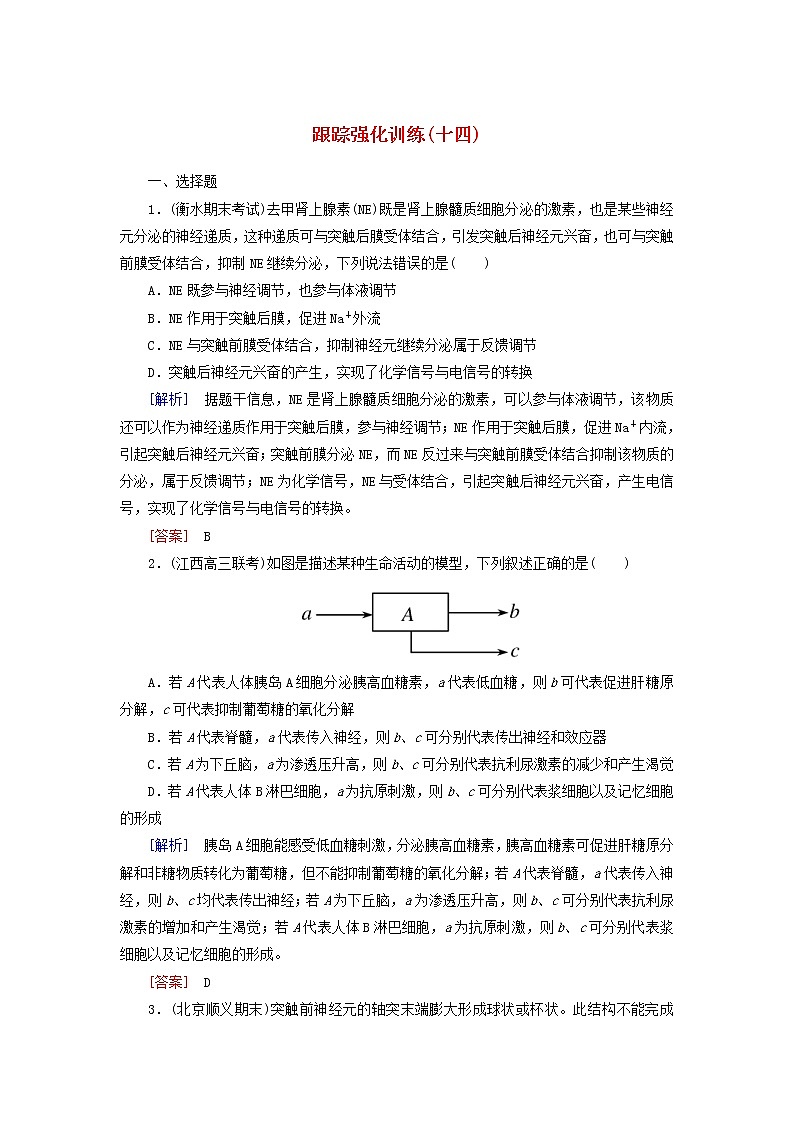 高考生物二轮复习跟踪强化训练14《动物生命活动的调节》(含详解)第1页