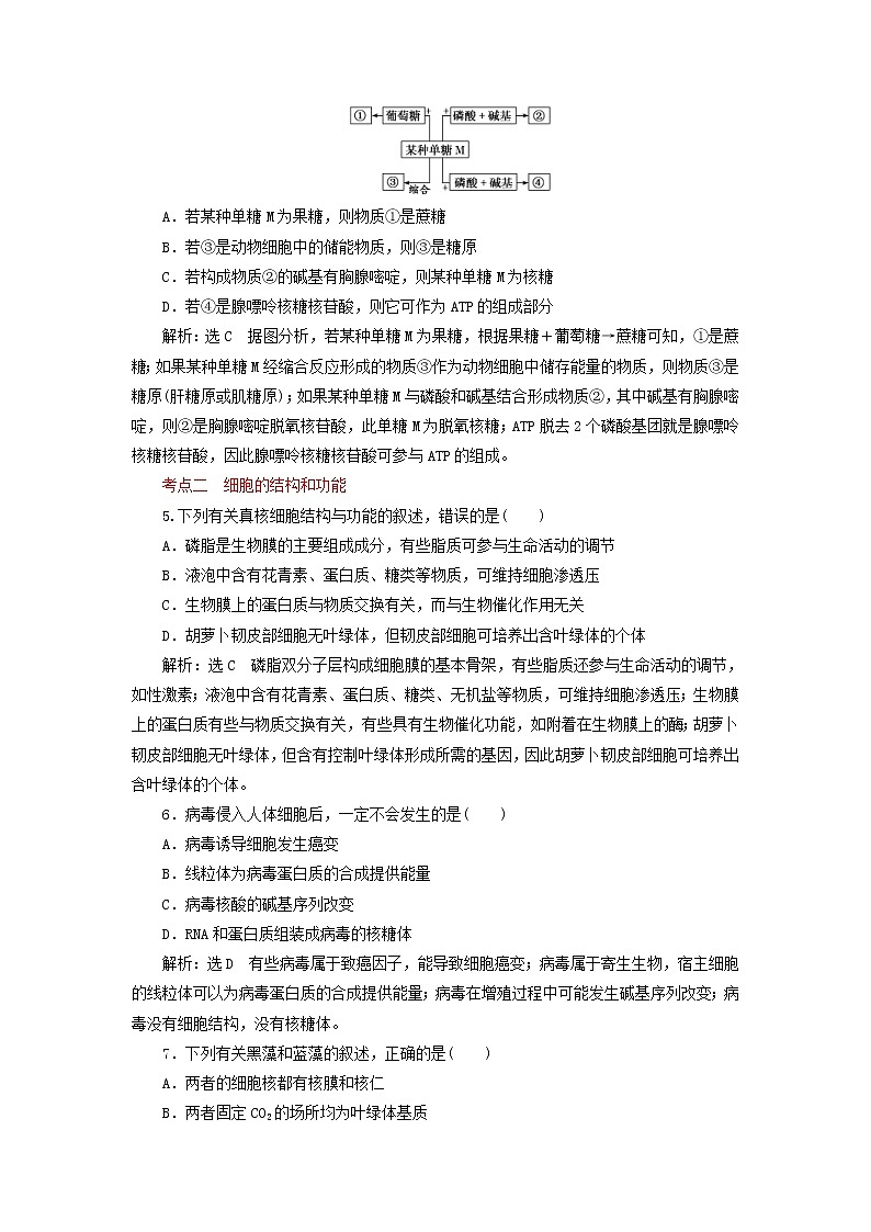 高考生物二轮复习检测01《细胞的组成与结构》课前诊断卷 (含详解)02