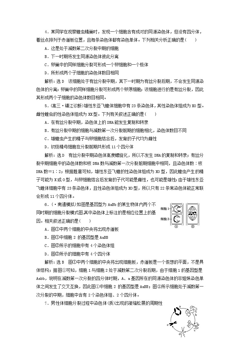 高考生物二轮复习检测02《细胞的生命历程》课前诊断卷 (含详解)02
