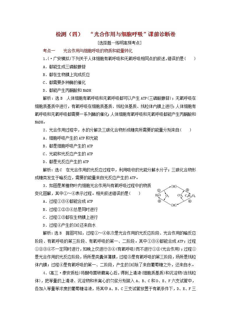 高考生物二轮复习检测04《光合作用与细胞呼吸》课前诊断卷 (含详解)01