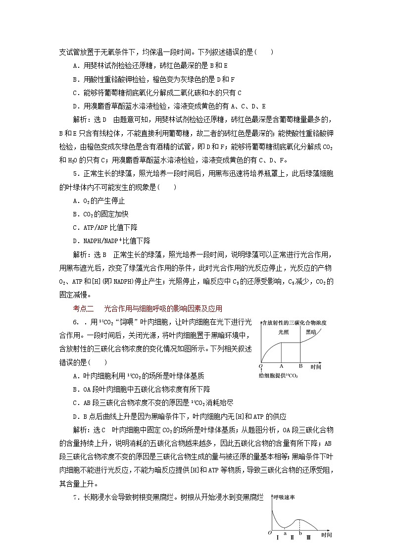 高考生物二轮复习检测04《光合作用与细胞呼吸》课前诊断卷 (含详解)02