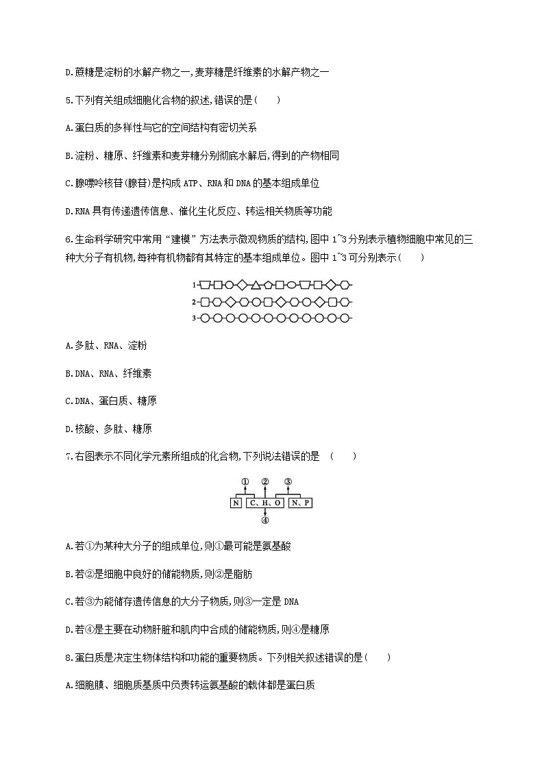 高考生物二轮复习专题能力训练1细胞的分子组成（含答案）第3页